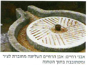 (בספר תרשים:) מערכת לניסור בולי עץ.